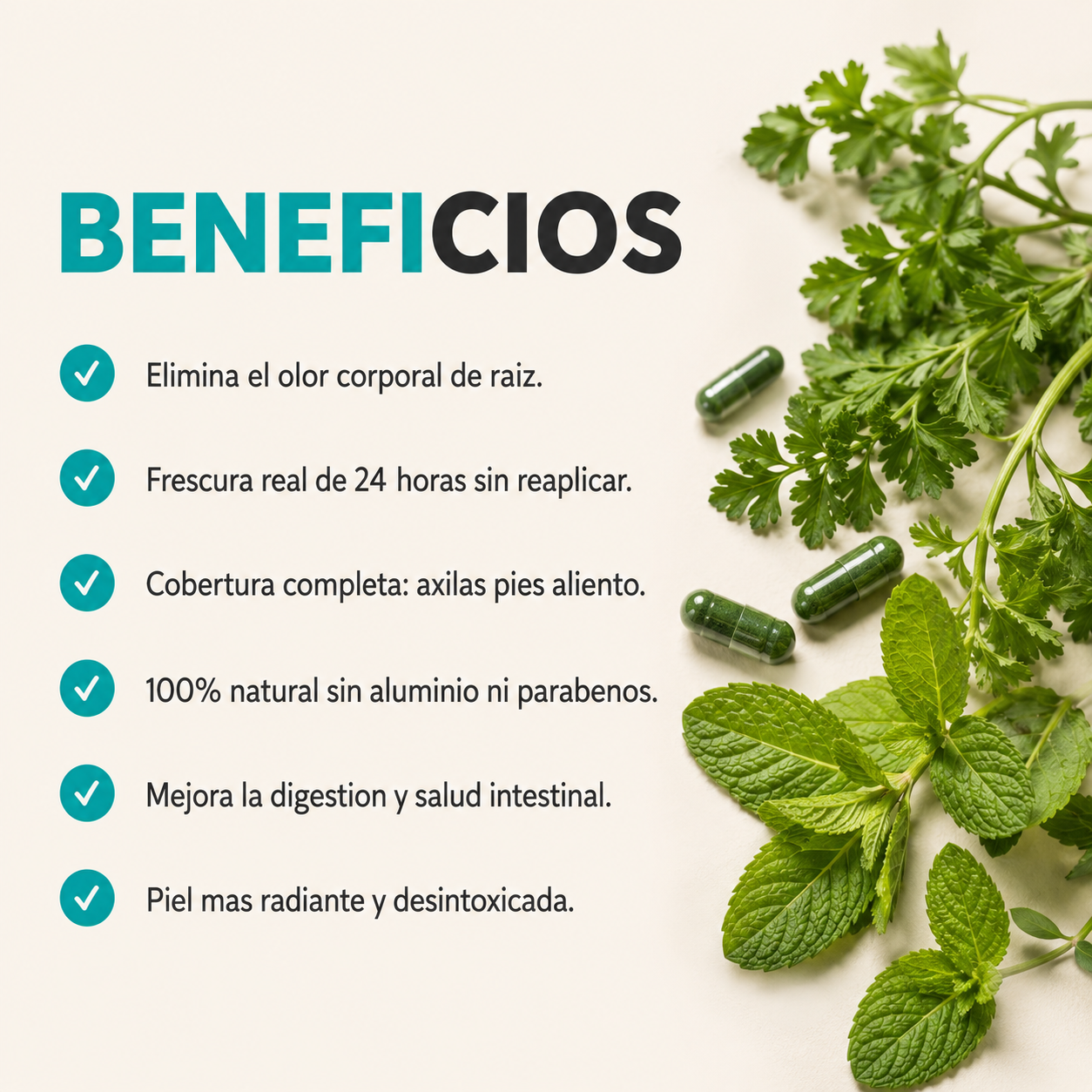 Beneficios - 6 razones para elegir